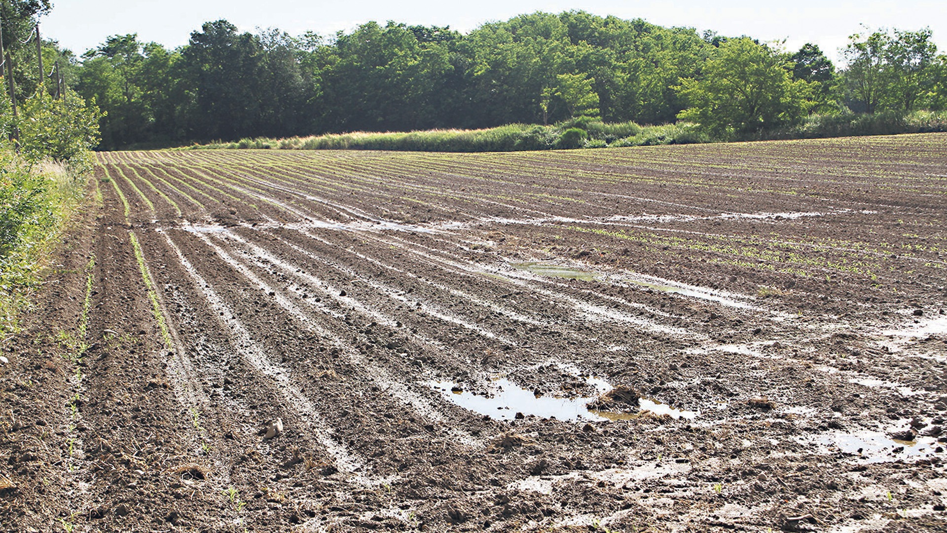 - retrospective eau 2.jpg